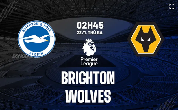 Nhận định Brighton vs Wolves