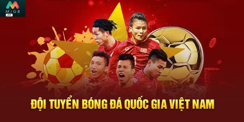 Đội tuyển bóng đá quốc gia Việt Nam với lối đá kỷ luật
