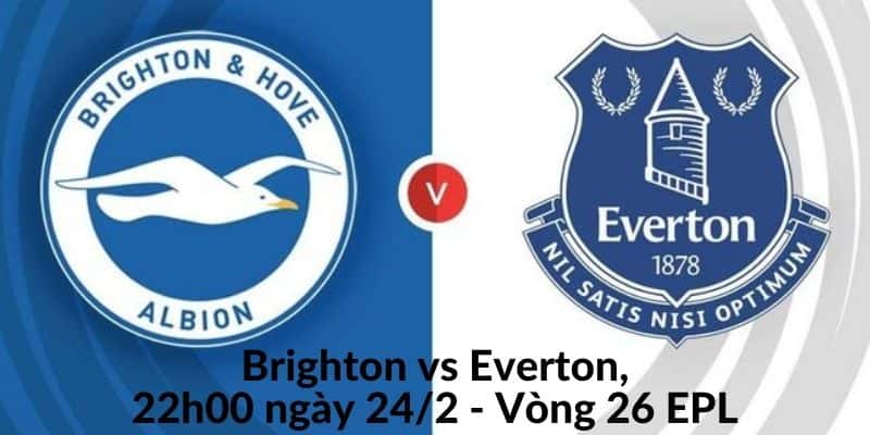 Nhận định trận đấu, soi kèo Brighton vs Everton
