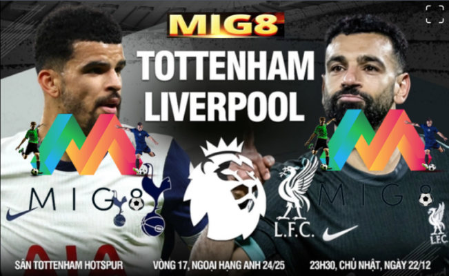 Tottenham vs Liverpool vòng 17 Ngoại hạng Anh 2024/25