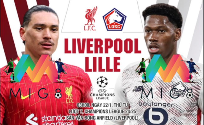 Liverpool vs Lille lượt 7 vòng bảng Champions League 2024/25.